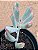 Cotyledon orbiculata var. flanaganii - Imagem 3