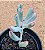Cotyledon orbiculata var. flanaganii - Imagem 2