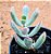 Cotyledon orbiculata var. flanaganii - Imagem 6