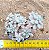 Graptopetalum (Sedum) mirinae - Imagem 3