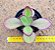 Kalanchoe synsepala - Imagem 1