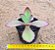 Kalanchoe synsepala - Imagem 2