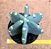 Cereus jamacaru subs. inermis - Imagem 2