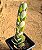 Kalanchoe laxiflora violacea - Imagem 3