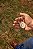 Pin Oval - Imagem 14