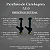 Parafuso De Cambagem M10 Kit Com 08 Pçs - Imagem 3