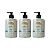 Kit com 3 Sabonete Líquido Coala Chá Branco 500ml - Imagem 1