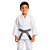 Faixa de Jiu-Jitsu Cinza Infantil - Imagem 2