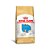 Royal Canin Caes Puppy Bulldog Francês 1 Kg - Imagem 1