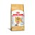 Royal Canin Caes Adultos Yorkshire 8+ 2,5kg - Imagem 1