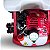 Pulverizador Costal Motorizado LMX1000 - Imagem 4