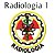 Bordado Radiologia - Imagem 1