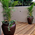 Vaso Onix Plantas Fibra De Vidro Cor Azul - Imagem 3