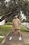 Conjunto Oversized - Imagem 1