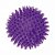 Bola Tpr Gd Lilas Espinho C/ Som - Imagem 1