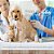 Vet Life Feline Hypoallergenic Pork E Potato 2kg - Imagem 4