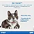 Onsior Gatos 6mg - 2,5kg - Imagem 3