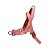 Peitoral Zee Dog Softerwalk Canyon Naturals G P/ Cao - Imagem 1