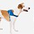 Zee Dog Peitoral Flyharness Slam Dunk N4 - Imagem 4