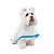Capa de Chuva para Cachorro Azul Bichinho Chic N° 06 - Imagem 1