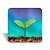 Mini quadro 3D - Linha Cultivar - Aurora - Imagem 4