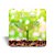 Mini quadro 3D - Linha Cultivar - Plantação de Flores - Imagem 1
