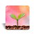 Mini quadro 3D - Linha Cultivar - Carinho - Imagem 5