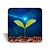 Mini quadro 3D - Linha Cultivar - Estrela do Infinito - Imagem 5