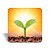 Mini quadro 3D - Linha Cultivar - Luz Radiante - Imagem 5
