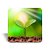 Mini quadro 3D - Linha Cultivar - Vi Verde Luz - Imagem 5