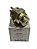 Interruptor Sensor Luz Ré MB Ônibus Caminhões OH1313 0326 0364 1214 1618 Marca Mauser Novo de Época - Imagem 3