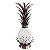 ABACAXI BRANCO COM COROA DE FERRO - Imagem 1