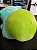 Balbasaur Pokemon - Imagem 2