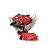 Flor da Fortuna com Suflair - Imagem 1