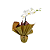 Orquídea Branca - Imagem 1