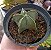 Astrophytum Nudum - Imagem 1