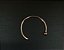 P0510 OPEN RING TITANIO - Imagem 1