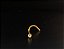 P0146 NOSTRIL TITÂNIO GOLD - Imagem 1