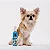 Limpa E Hidrata Patinhas Au.Migos Pets 120Ml - Imagem 2