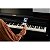 CELVIANO PIANO AP-550 - Imagem 9
