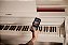 CELVIANO PIANO AP-550 - Imagem 7