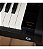 CELVIANO PIANO AP-550 - Imagem 4