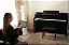 CELVIANO AP-750BK - Imagem 7