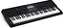 TECLADO CASIO CT-X800 - Imagem 2