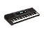 TECLADO ROLAND EX20A - Imagem 2