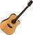 VIOLÃO TAKAMINE ELETROACÚSTICO GD20CE AÇO - Imagem 1