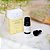 Óleo Essencial de Melaleuca Orgânico 10ml - Imagem 3