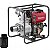 MOTOBOMBA BD-700 CFE 4POL. 10,0CV DIESEL - BRANCO - Imagem 1