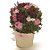 Bouquet - Vaso Red com Botões de Rosa Rosa - Vermelho - Pacote com 12 un - Imagem 1