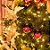 Natal Disney - Bola Minnie Poá Preto e Vermelho 6cm - 6 Un - Imagem 4